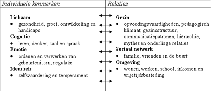Schematische weergave van de relatie tussen individuele kenmerken en relaties.